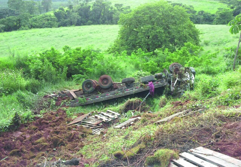 Caminhão carregado de grama tombado na Rodovia MG-344 (foto: Helder Almeida)